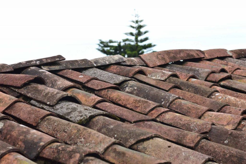 Why are my roof shingles curling?